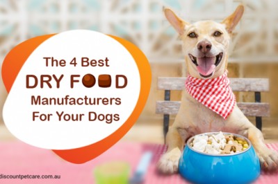 The 4 Best Dry Food Manufacturers For Your Dogs - DiscountPetCare