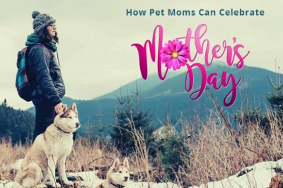 How Pet Moms Can Celebrate Mother’s Day?