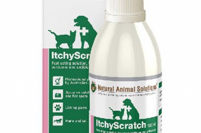 Buy Natural Animal Solutions Itchy Scratch For Dogs Online - DiscountPetCare