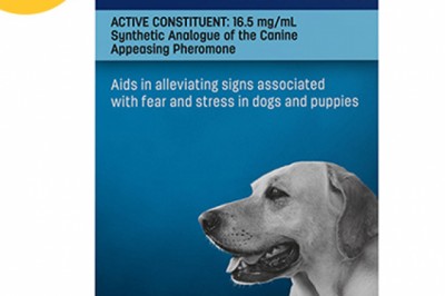 Buy Adaptil Calm Home Diffuser Kit For Dogs & Puppies Online - DiscountPetCare