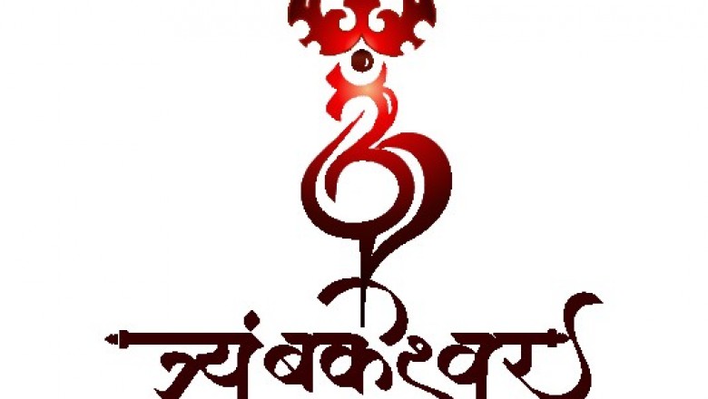 Trimbakeshwar Temple Purohits