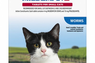 Buy Milbemax Allwormer For Cats Online - DiscountPetCare