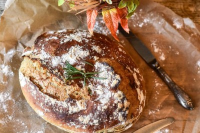 Yeast Market - Global Industry Report, 2030
