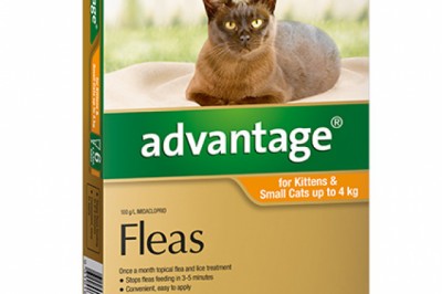 Buy Advantage Flea Control Treatment For Cats Online - DiscountPetCare