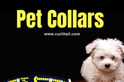 Buy pet accessories online | dog accessories shop