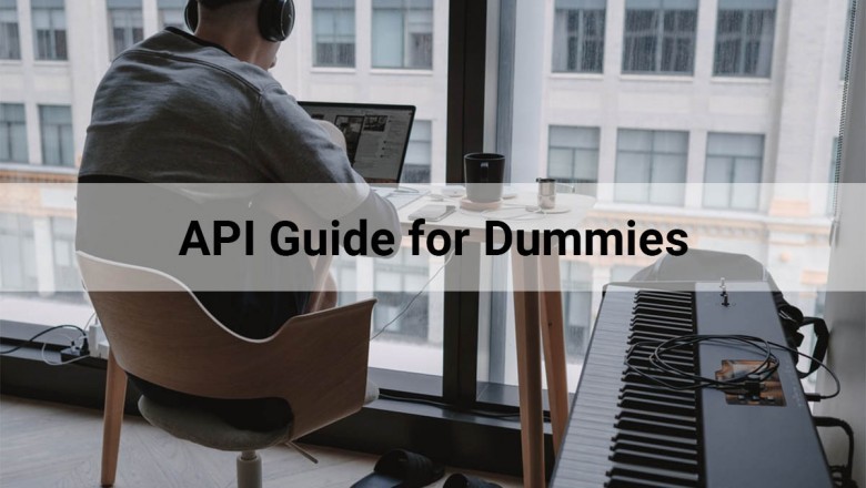 API (Application Programming Interface) Guide For Dummies