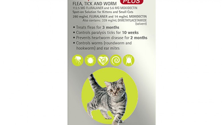 Buy Bravceto Plus Spot-On For Cats Online - DiscountPetCare