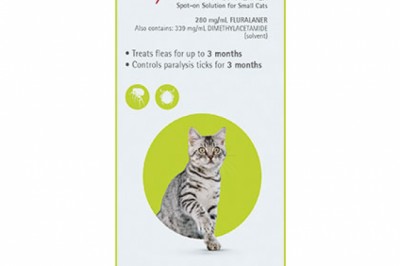 Buy Bravecto Spot-On For Cats Online - DiscountPetCare
