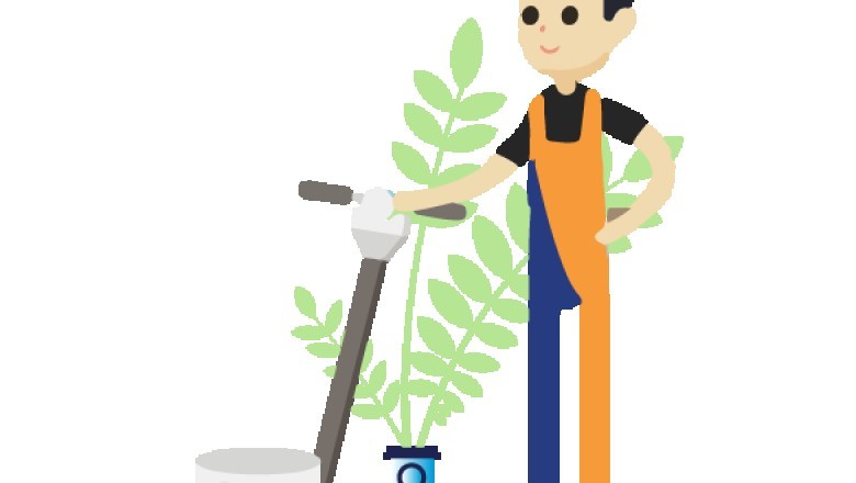 Local Carpet Cleaning in Scarborough