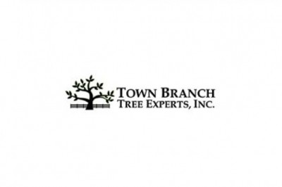 Online best Tree care service in USA at Town Branch Tree Experts