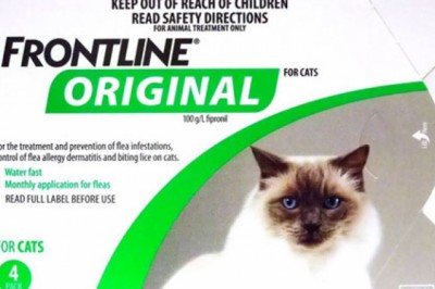 Buy Frontline Original Fleas and Lice Control For Cats Online - DiscountPetCare