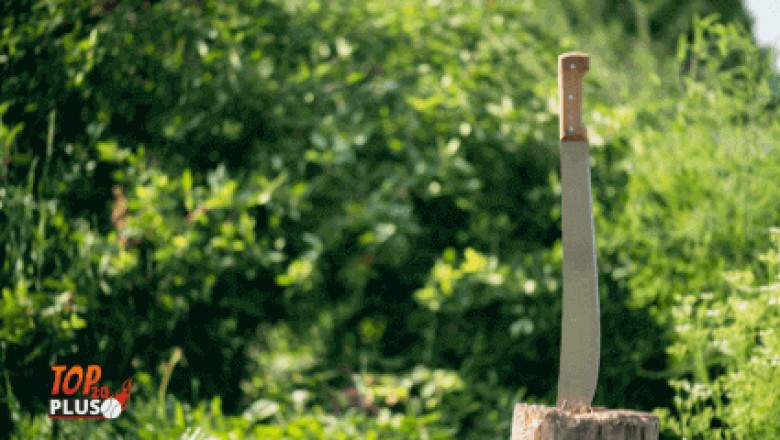 The Best Machete That Works Like Anything for You