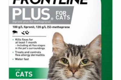 Buy Frontline Plus Monthly Flea Control For Cats Online - DiscountPetCare