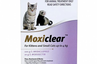 Buy Moxiclear Flea, Worm & Heartworm Prevention For Cats Online -DiscountPetCare