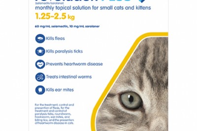 Buy Revolution Plus Flea and Tick Control For Cats Online - DiscountPetCare