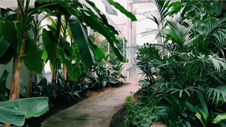 Gardening Services Sydney