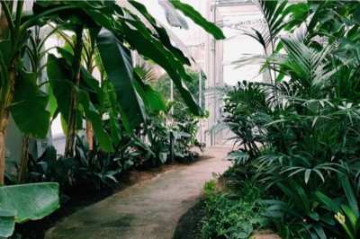 Gardening Services Sydney