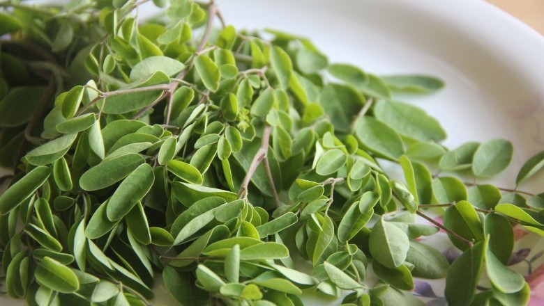 Moringa Market - Global Industry Analysis 2027