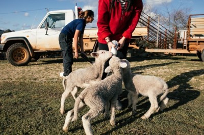 Pet foam market to reach a value of ~ us$ 360 mn by 2027