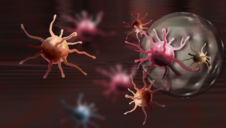 Global Cancer Biomarkers Market 2017to 2023) - by Product & Service, Circulating Biomarker, Application and Geography