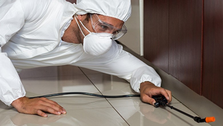 Hire Professional Termite Control across Adelaide.