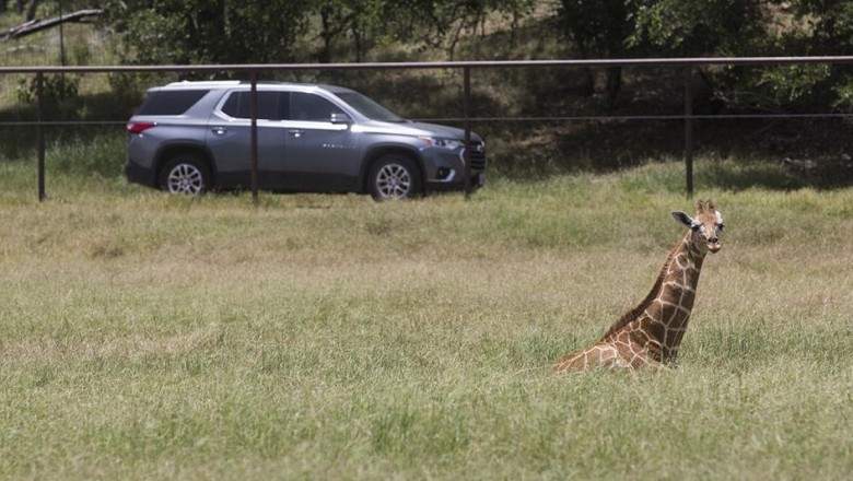 Wildlife Ranch aims to keep spot in top 10