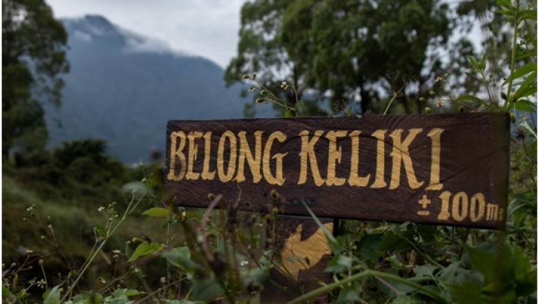 A Rainy Day in Kintamani
