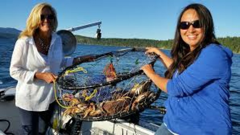 Seattle Yacht Rental