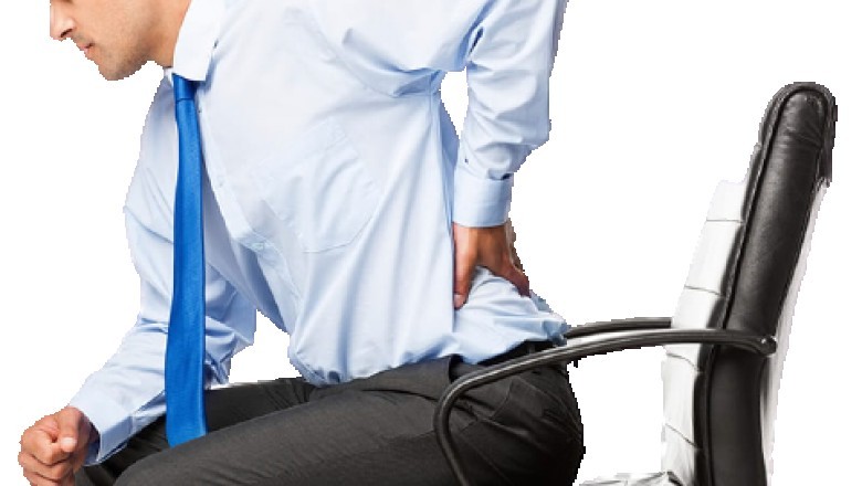 The Body Posture - Best Ergonomics Chairs To Better Manage And Improve Scoliosis Back Pain At Work