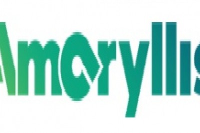 Visa Payment Facilitator