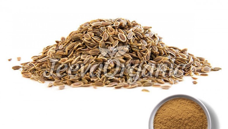 Bulk Organic Dill Seed Powder Supplier at Affordable Cost