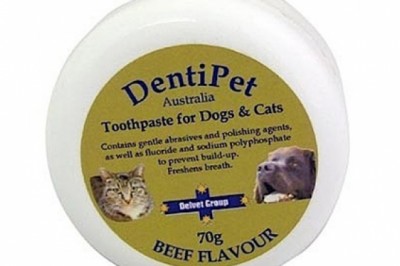 Buy Dentipet Toothpaste For Dogs and Cats Online - DiscountPetCare