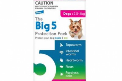 Buy The Big 5 Heartworms Protection Pack For Dogs Online - DiscountPetCare