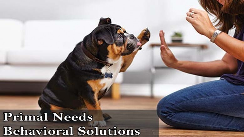 Primal Needs Behavioral Solutions - Dog Training in Mt Shasta