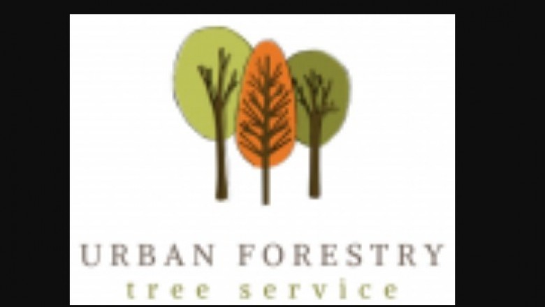 tree services denver Colorado