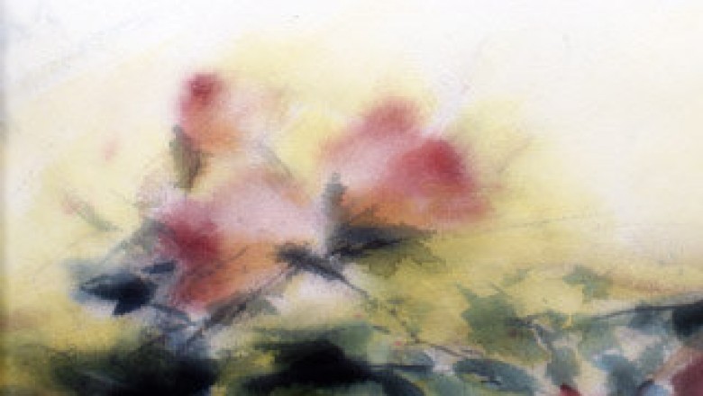 Watercolor Artist From Vaasa|kuhalampi.fi