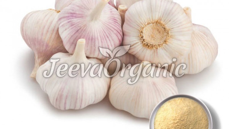 Bulk Organic Garlic Powder Supplier