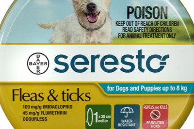 Buy Seresto Flea and Tick Collar For Dogs Online - DiscountPetCare