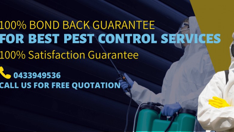 Pest Control Melbourne, Same Day Pest Extermination Service | 24*7 | $50 Off