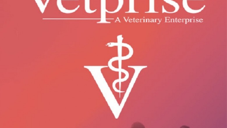 Veterinarian Job Seeker