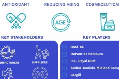 Antioxidant Market By Product, By Application, By Geographic Scope And Forecast