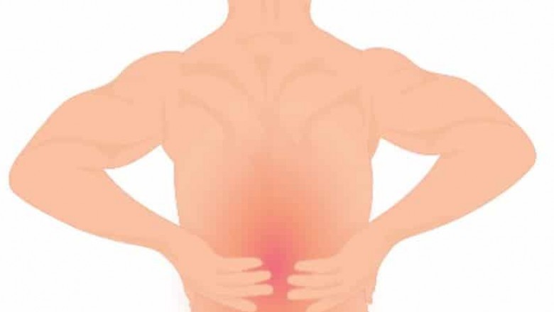 Best for Lower Back Pain Relief 2021 | Tridom
