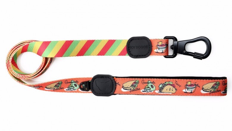 Buy Perfect Lead Leash for Dogs – Toy Doggie Brand