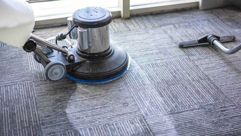 Top Reasons You Might Need A Professional Carpet Cleaner