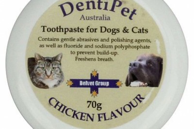 Buy Dentipet Toothpaste For Cats Online - DiscountPetCare