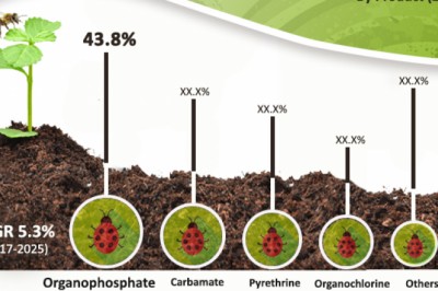 Global Insecticides Market is estimated to surpass US$23 mn by 2025: TMR