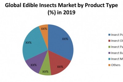 Global Edible Insects Market