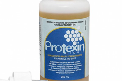 Buy PRON8URE (PROTEXIN) LIQUID For Dogs Online - DiscountPetCare