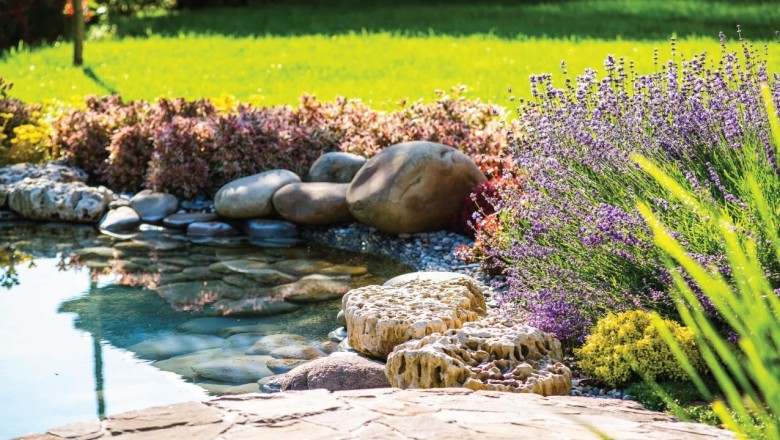 How Pest Control Protects Your Family and Home