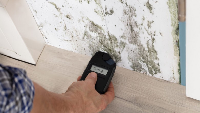 San Francisco Bay Area Mold Analysis Services